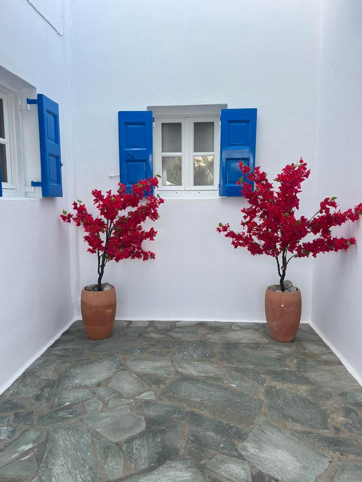 Anemos Apartments Ornos  Dış mekan fotoğraf