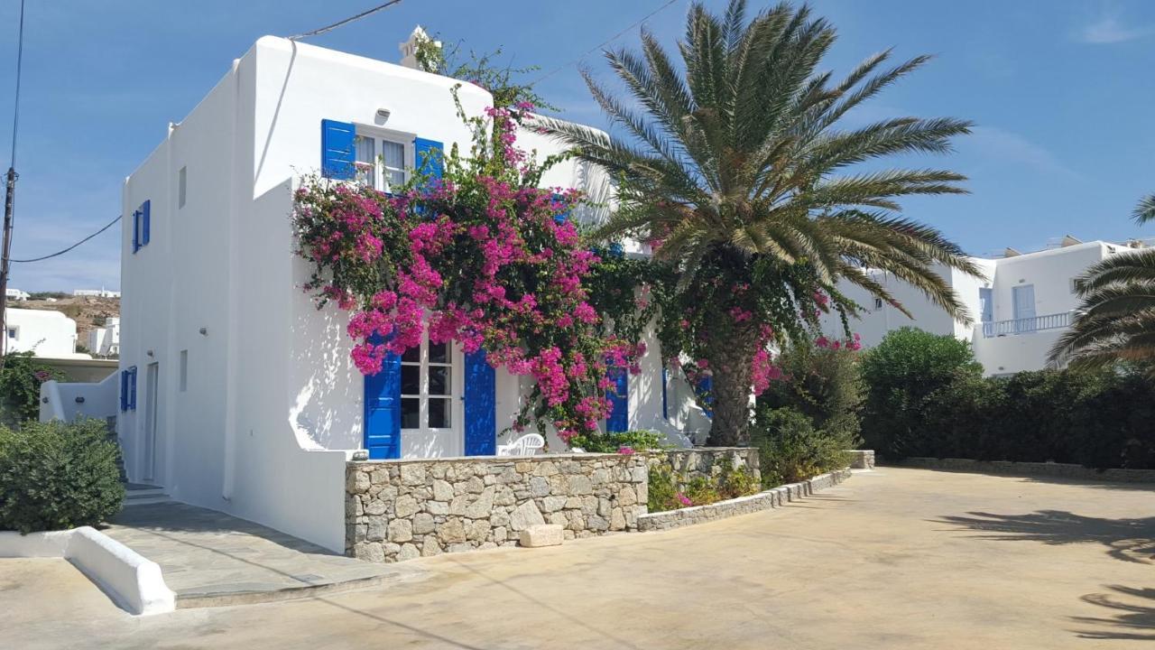 Anemos Apartments Ornos  Dış mekan fotoğraf